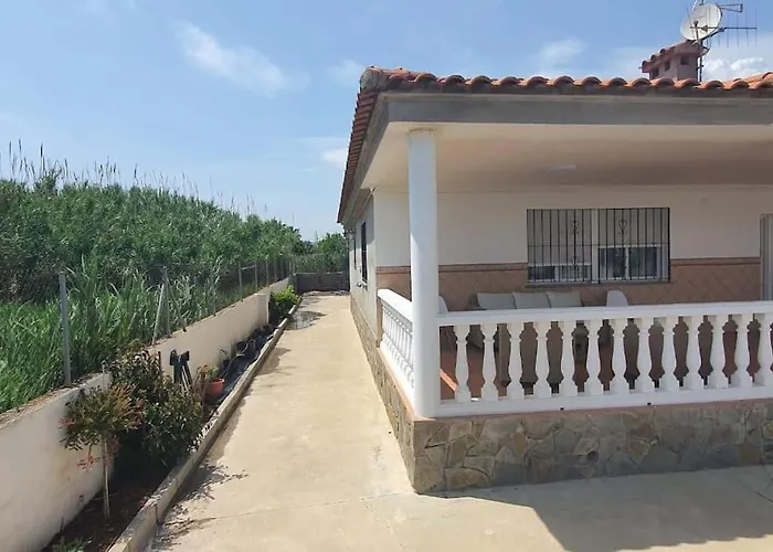 Maruna Grao de Castellon